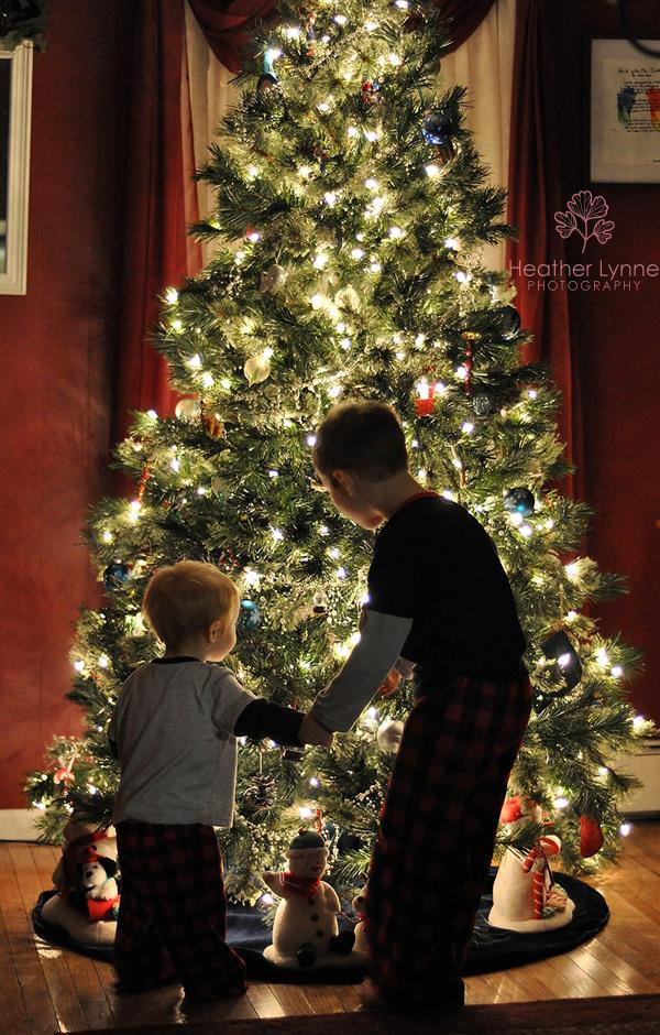Oh, Christmas Tree – A Photography Recipe&nbsp;Card
